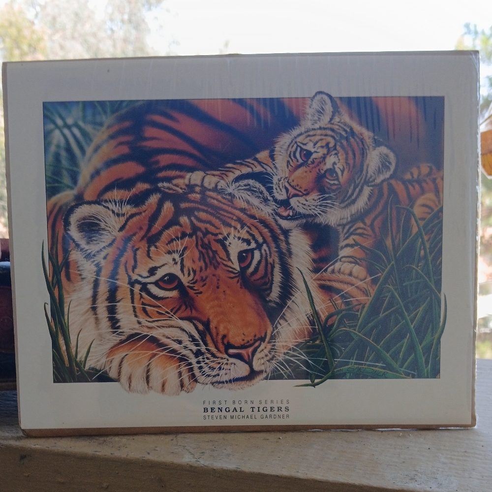 Bengal Tigers Art Print by